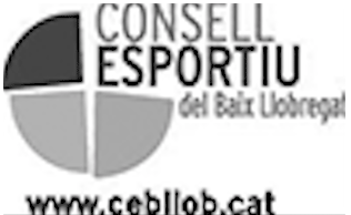 CONSELL ESPORTIU